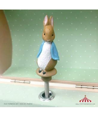 Musical Money Box Peter Rabbit Music Box