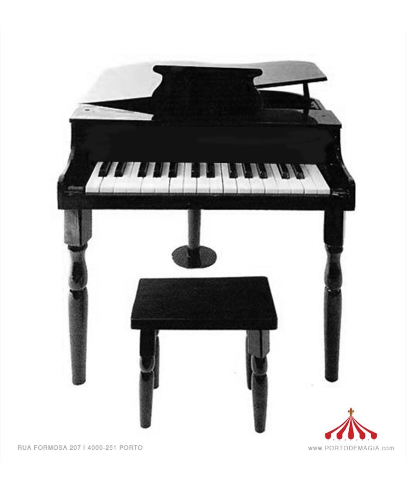 Large Black Piano