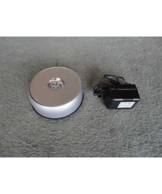 Concha Lambis Lambis