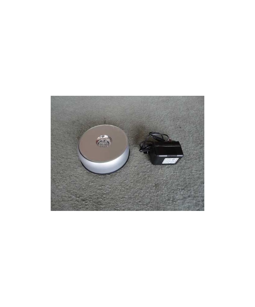 Concha Lambis Lambis