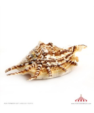 Lâmpada pedra sal com luz