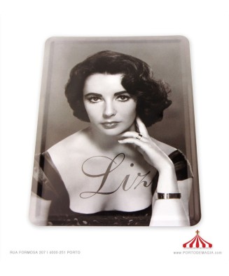 Metal Plaque Liz