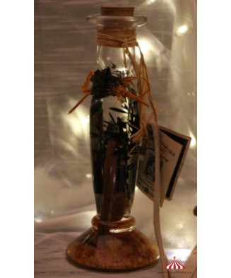 Cinnamon Chandelier Lantern