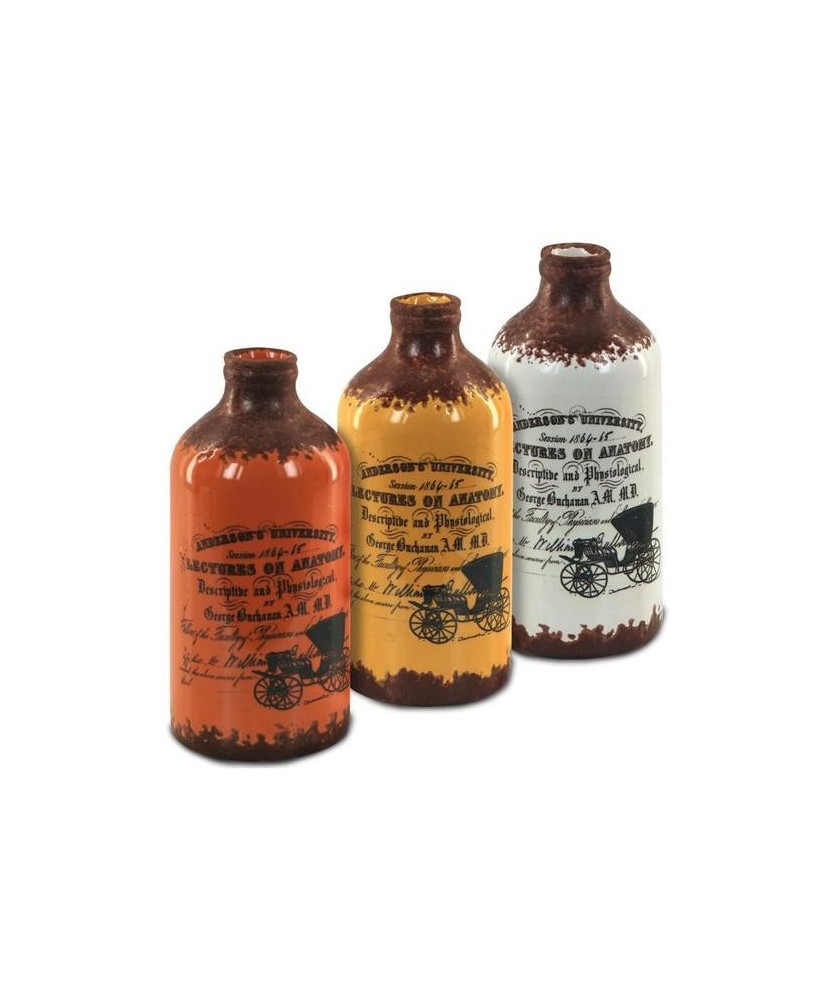 Lectures on Anatomy Jar