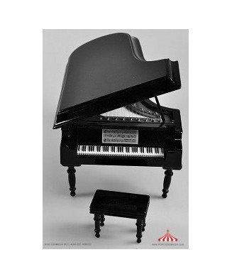 Black Grand Piano