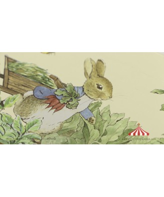 Peter Rabbit© - Caixa de Música