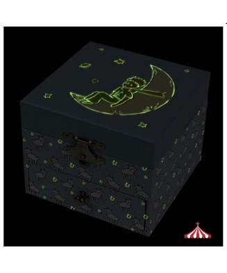 Music Box - The Little Prince